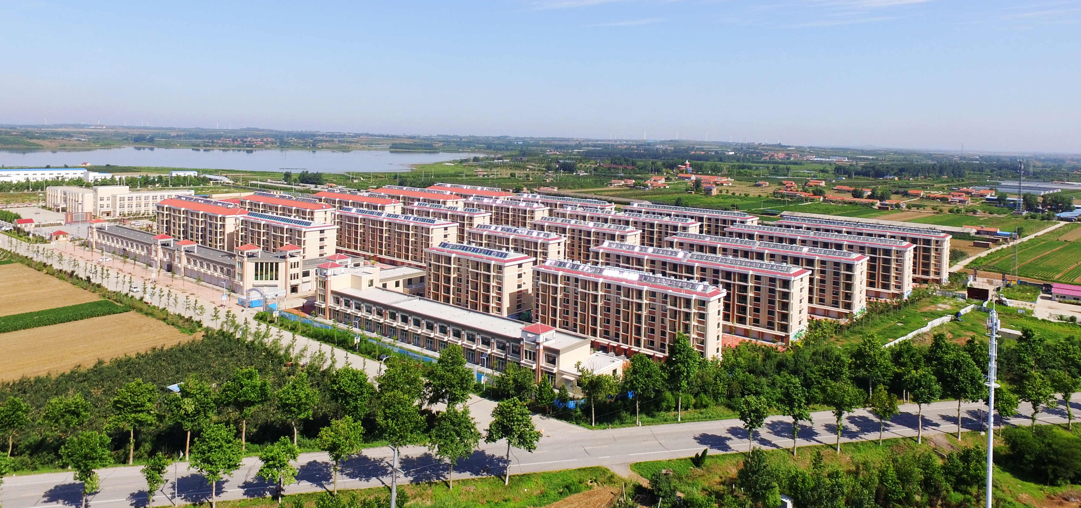 彩票app
莱西平度公司河头店镇龙泉湖社区项目实景图_副本