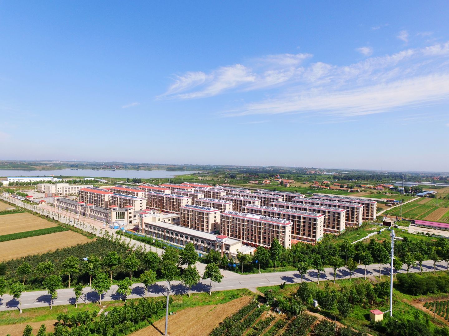 彩票app
莱西平度公司河头店镇龙泉湖社区项目实景图01_compressed